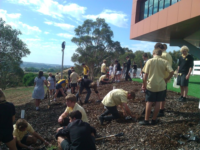 Students hard at work in April 2012, re-vegetating a tricky slopped site. 