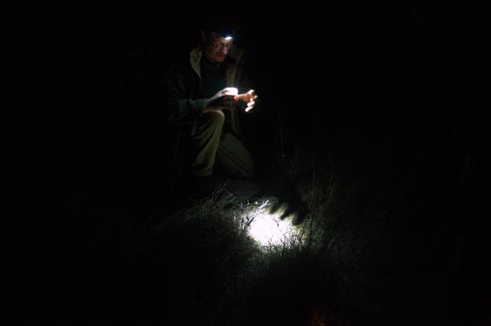 Mt Rothwell ranger Prenda showing us a Wolf Spider
